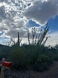 On our walk around the corner from the home.