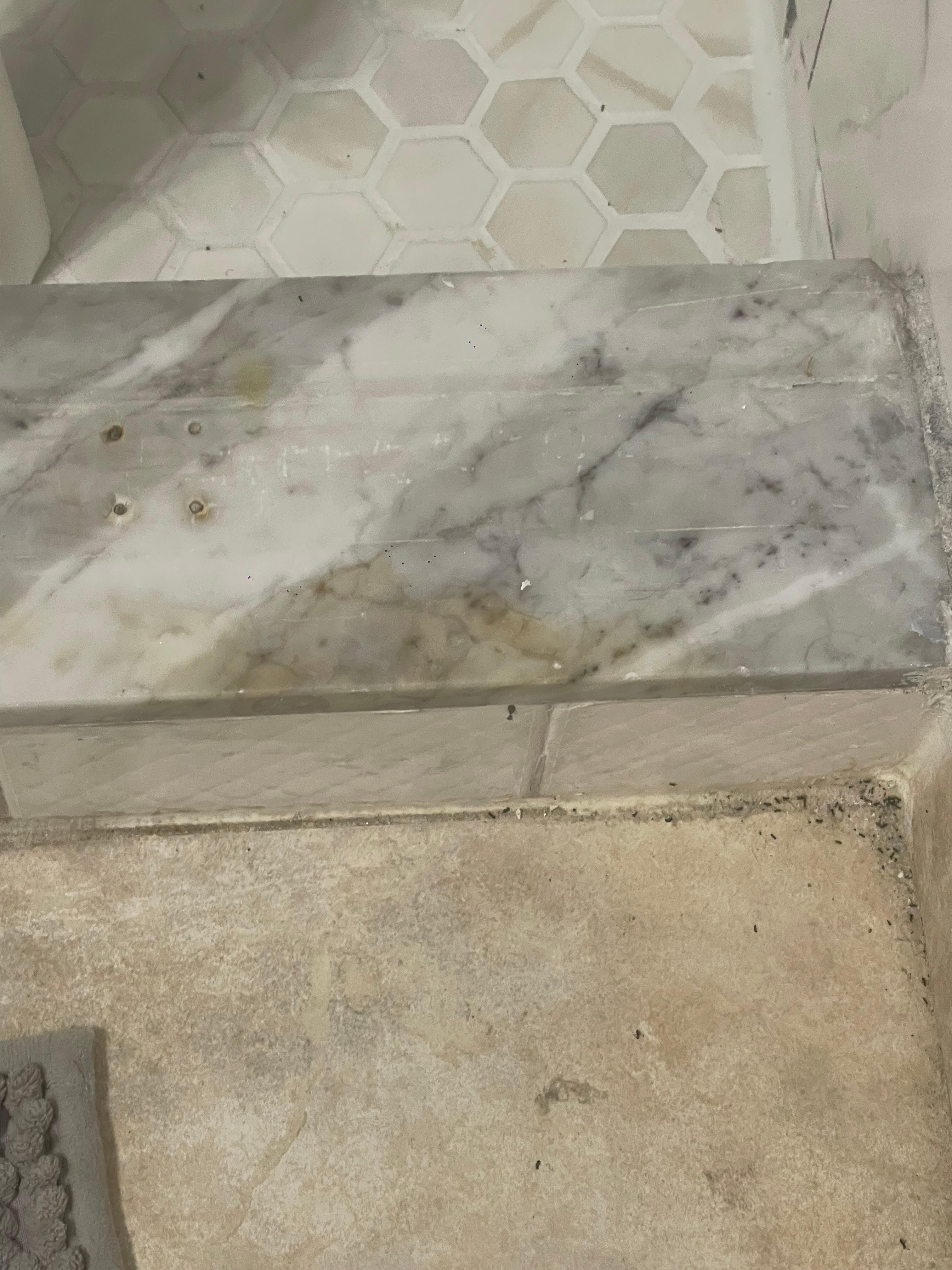 All corners of the shower was stained with mildew mold that obviously been overlooked many stays and a giant ant nest