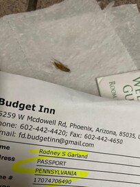 Roaches throughout!