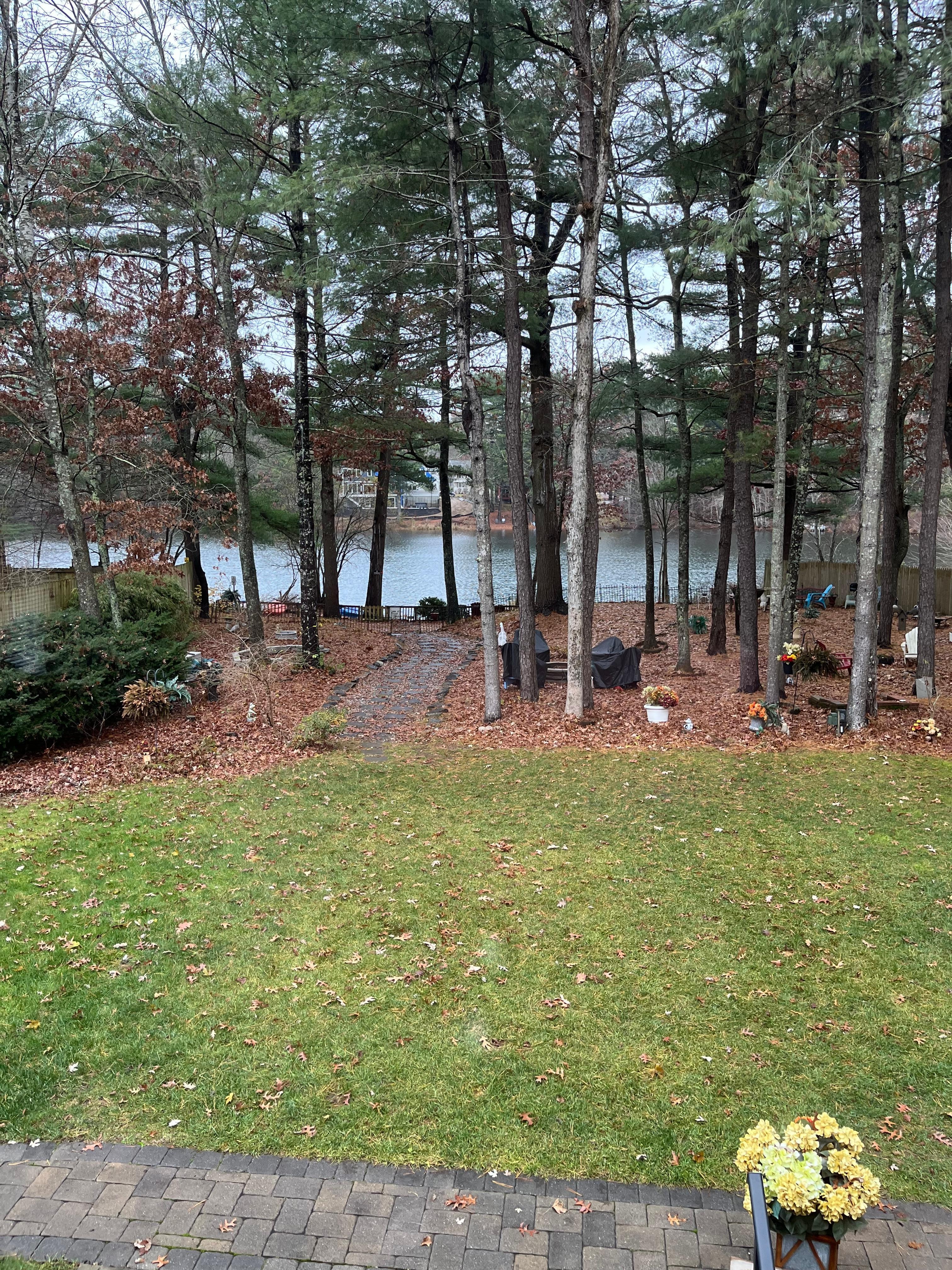 Beautiful Scenery and relaxing to walk around the near by bog. 