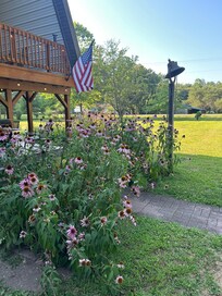 Beautiful landscaping