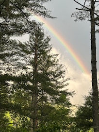 Taken from the covered porch after a rain shower.
