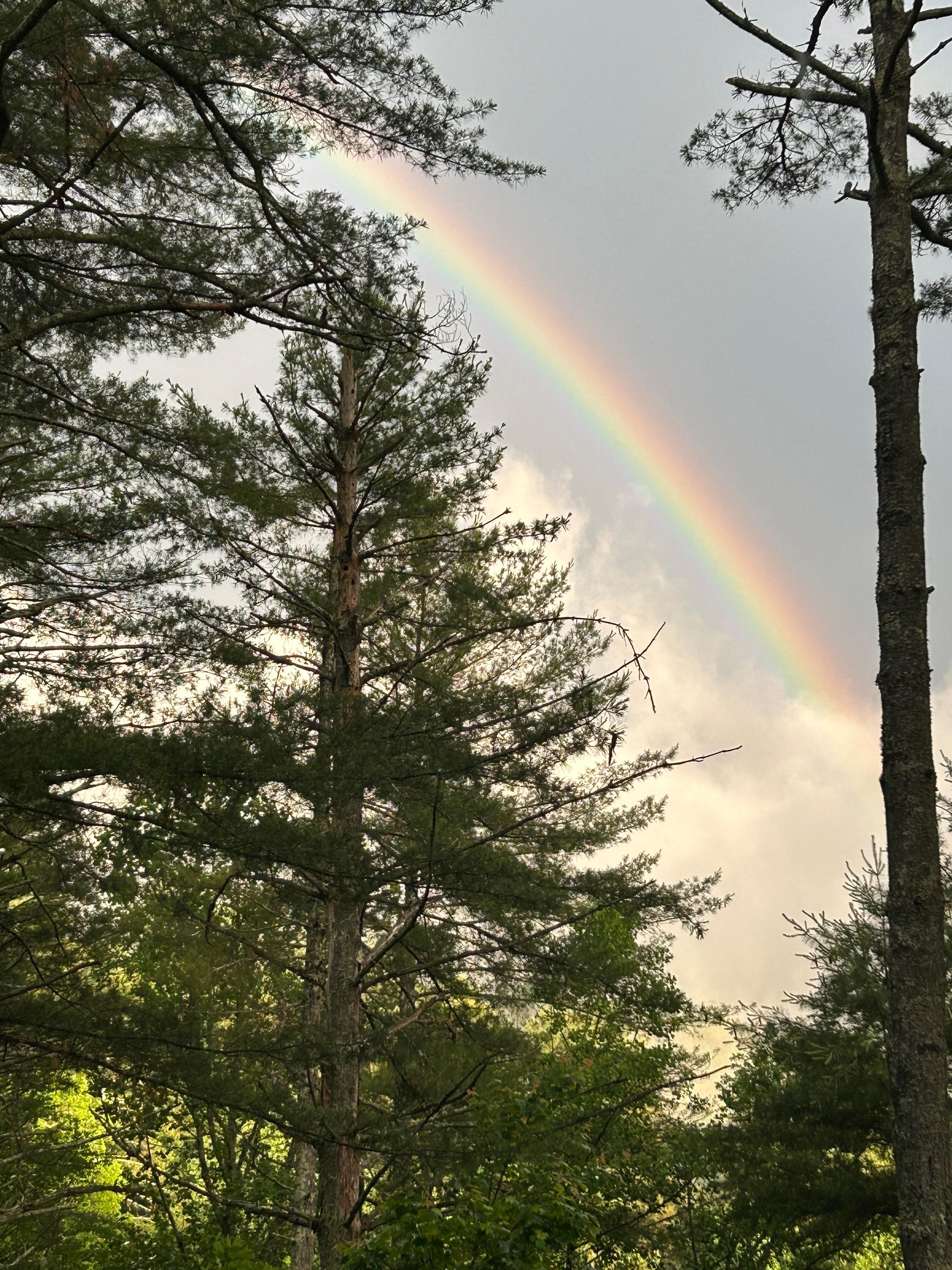 Taken from the covered porch after a rain shower. 