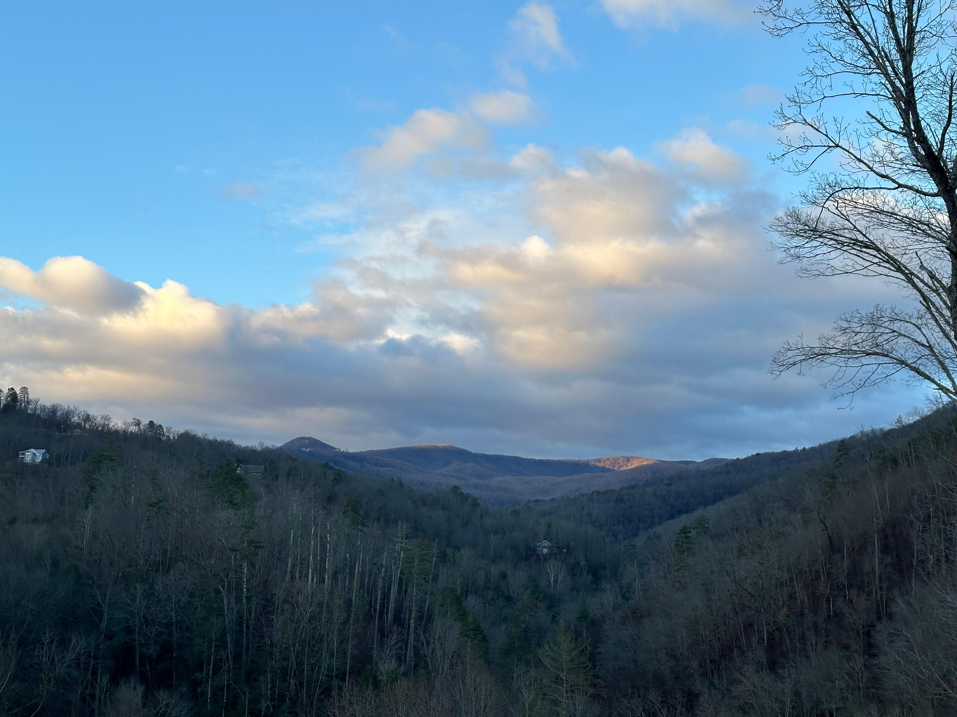 View in the afternoon.