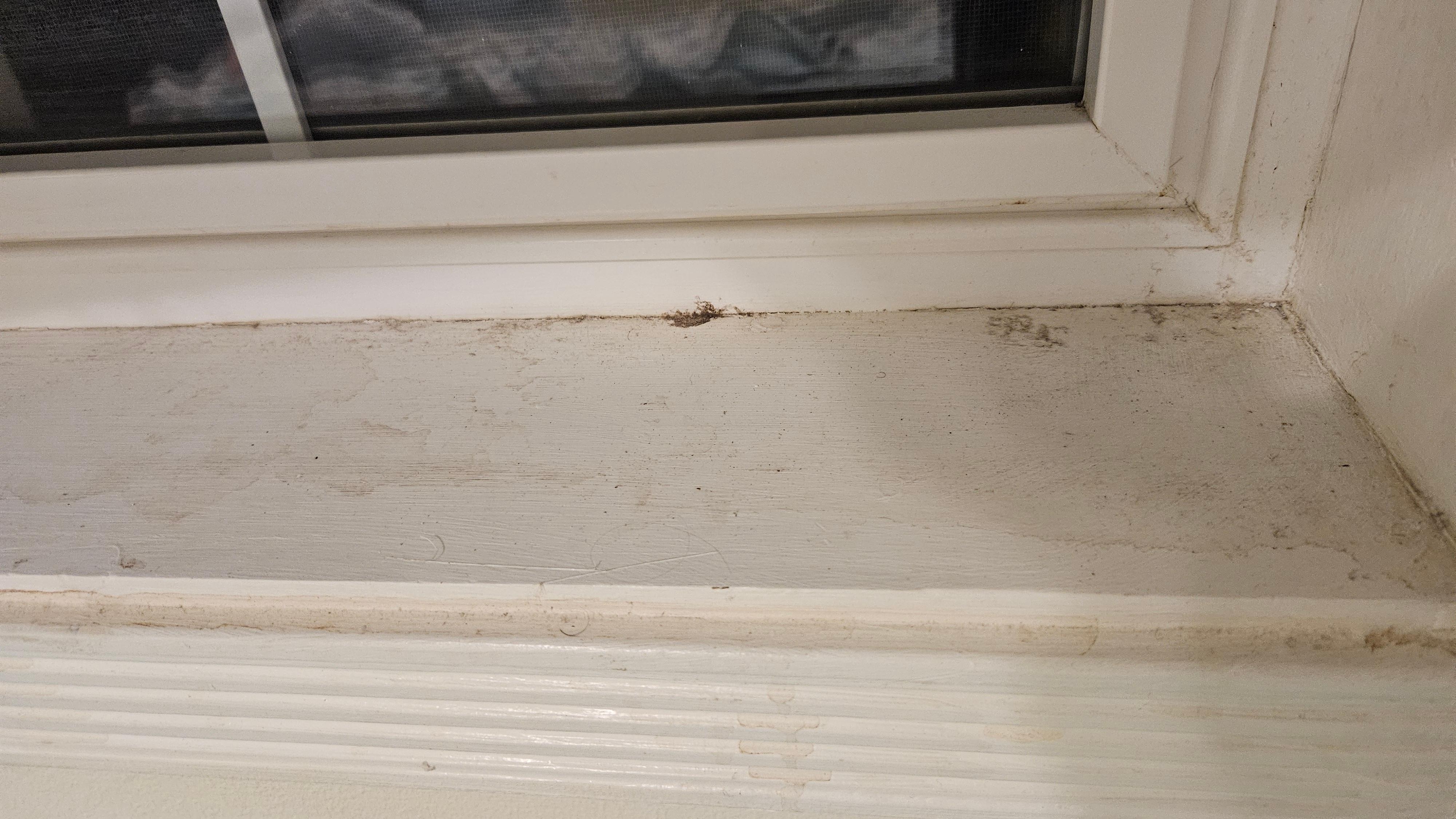 Example of every single windowsill and casing