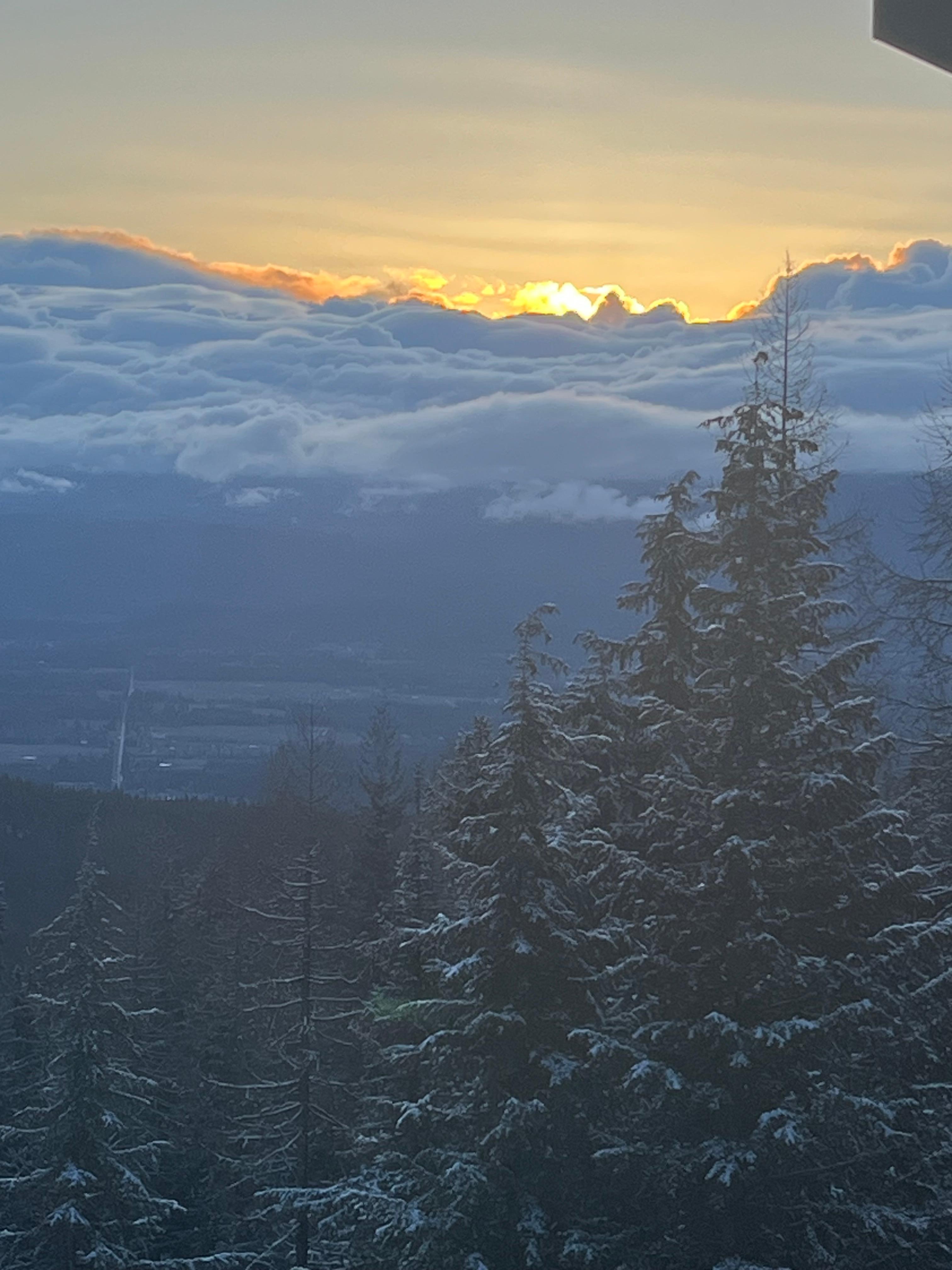 another great day to ski with snow on the trees