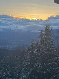 another great day to ski with snow on the trees