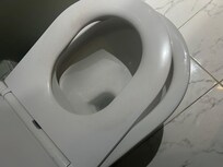 Broken toilet seat. Only held on at one point.