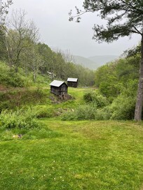 View from the front porch!