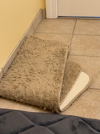 Bath rug. Ugh!