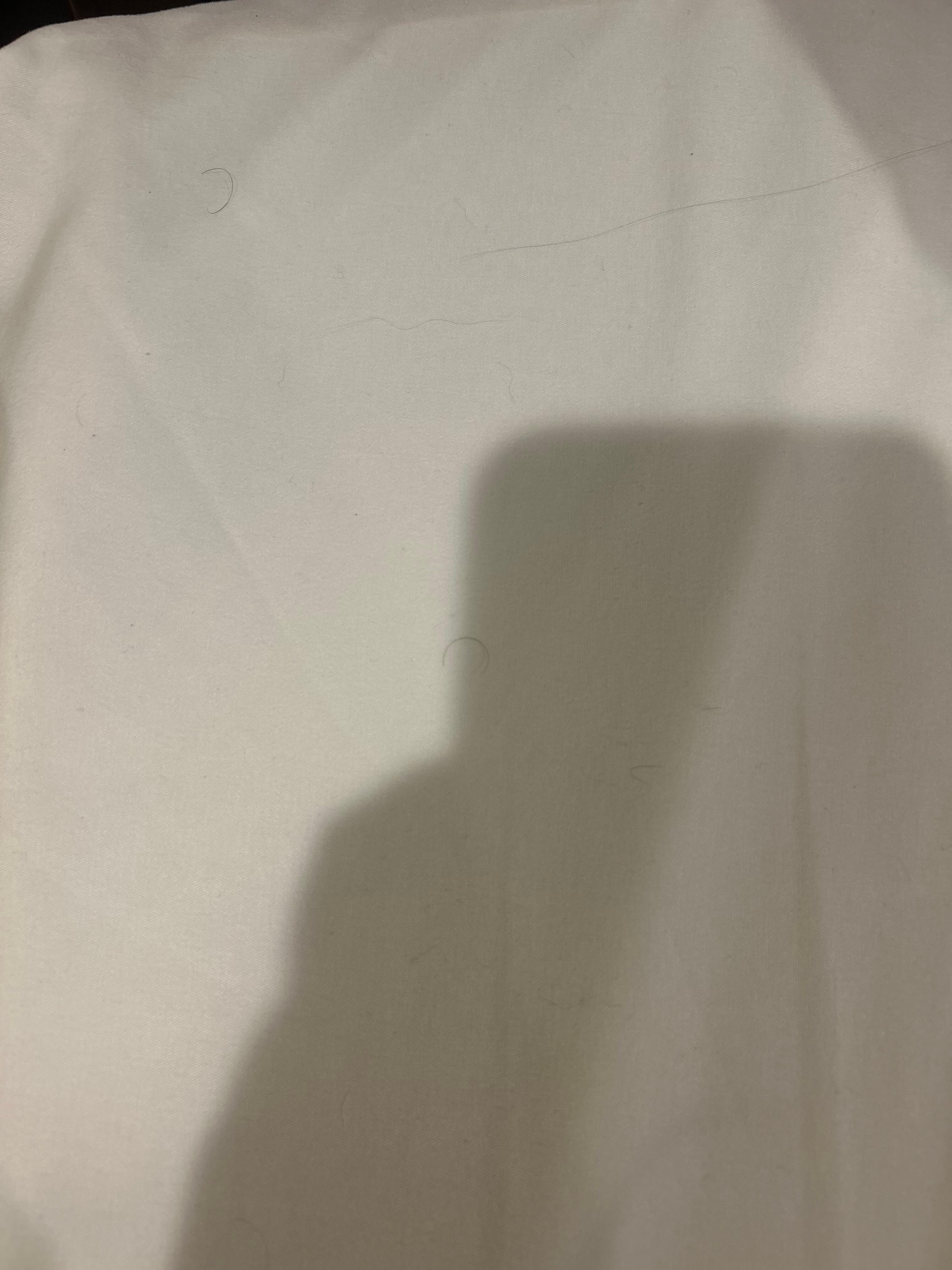 Pubic hair on linens