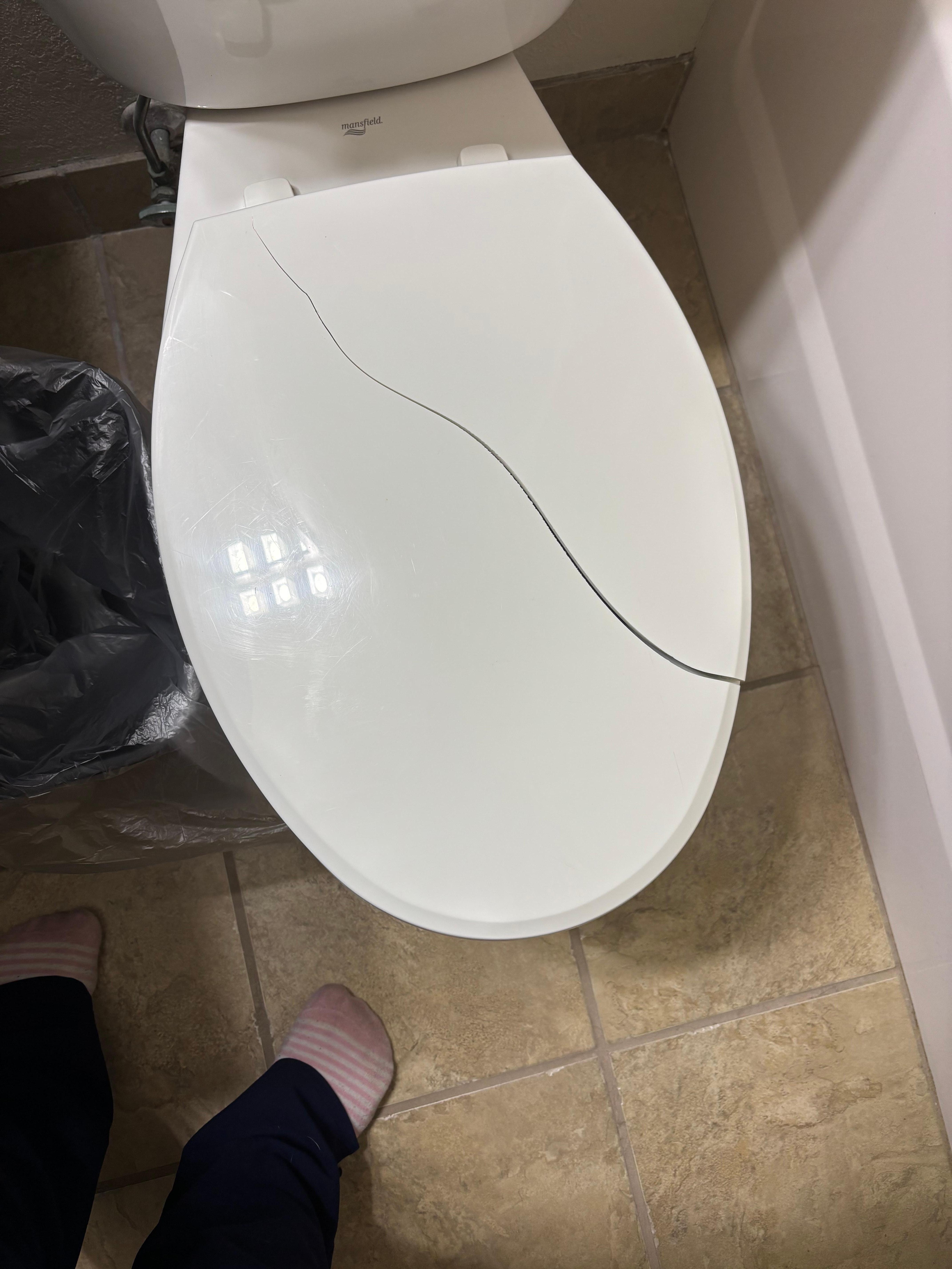 Second room toilet lid