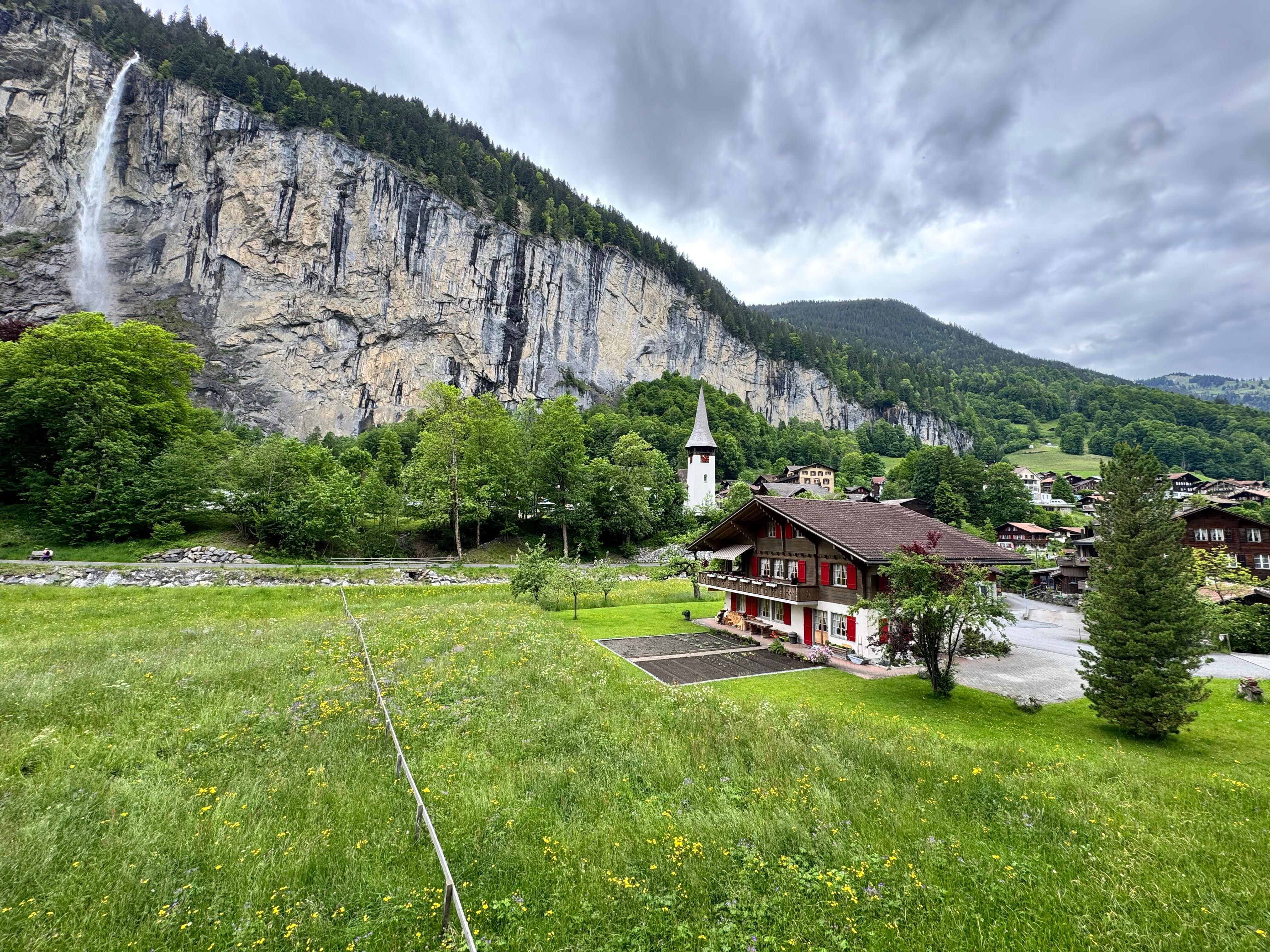 View from the back patio