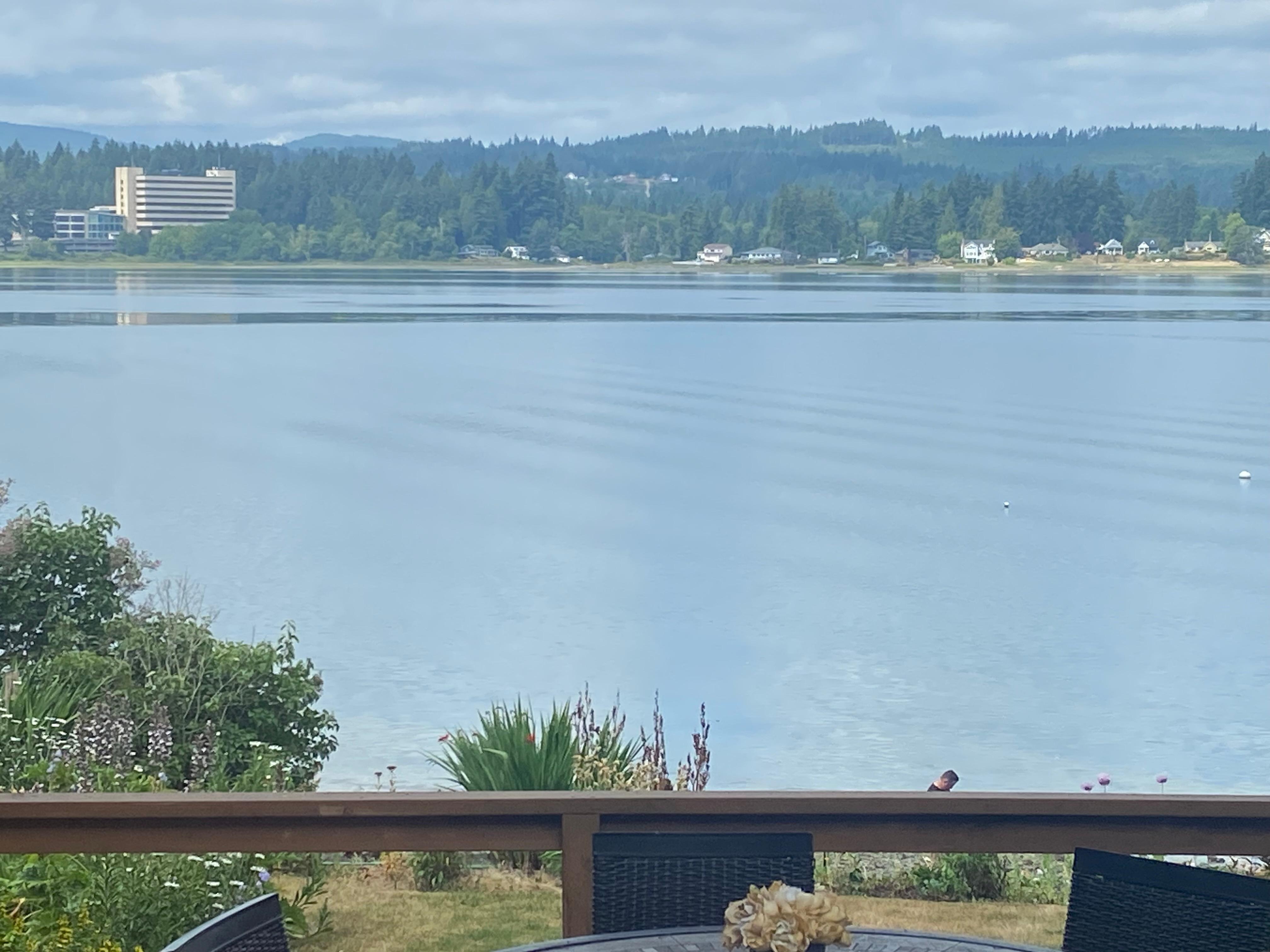 View from dinning room