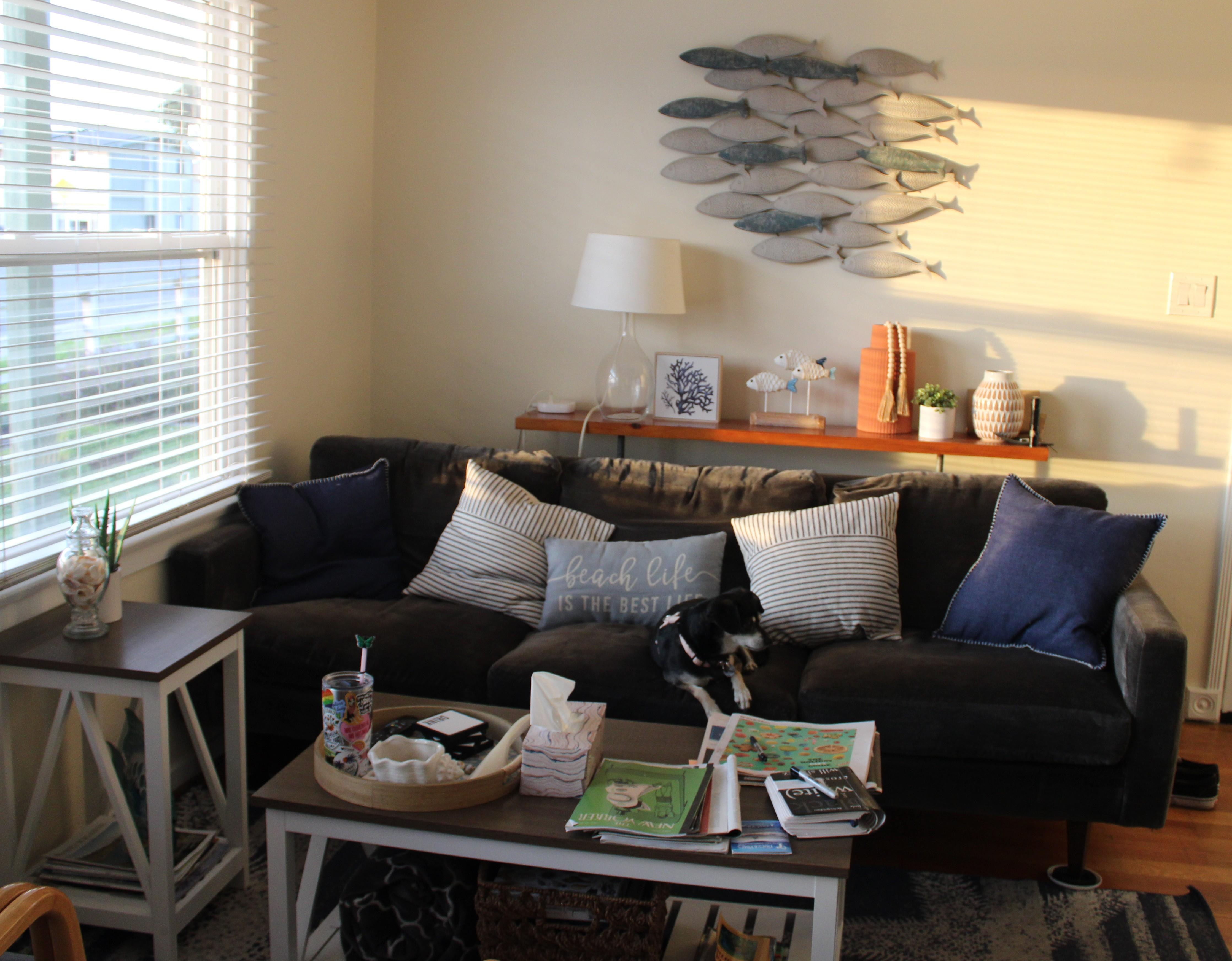 Cozy pet friendly apartment