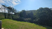 View out of back of property