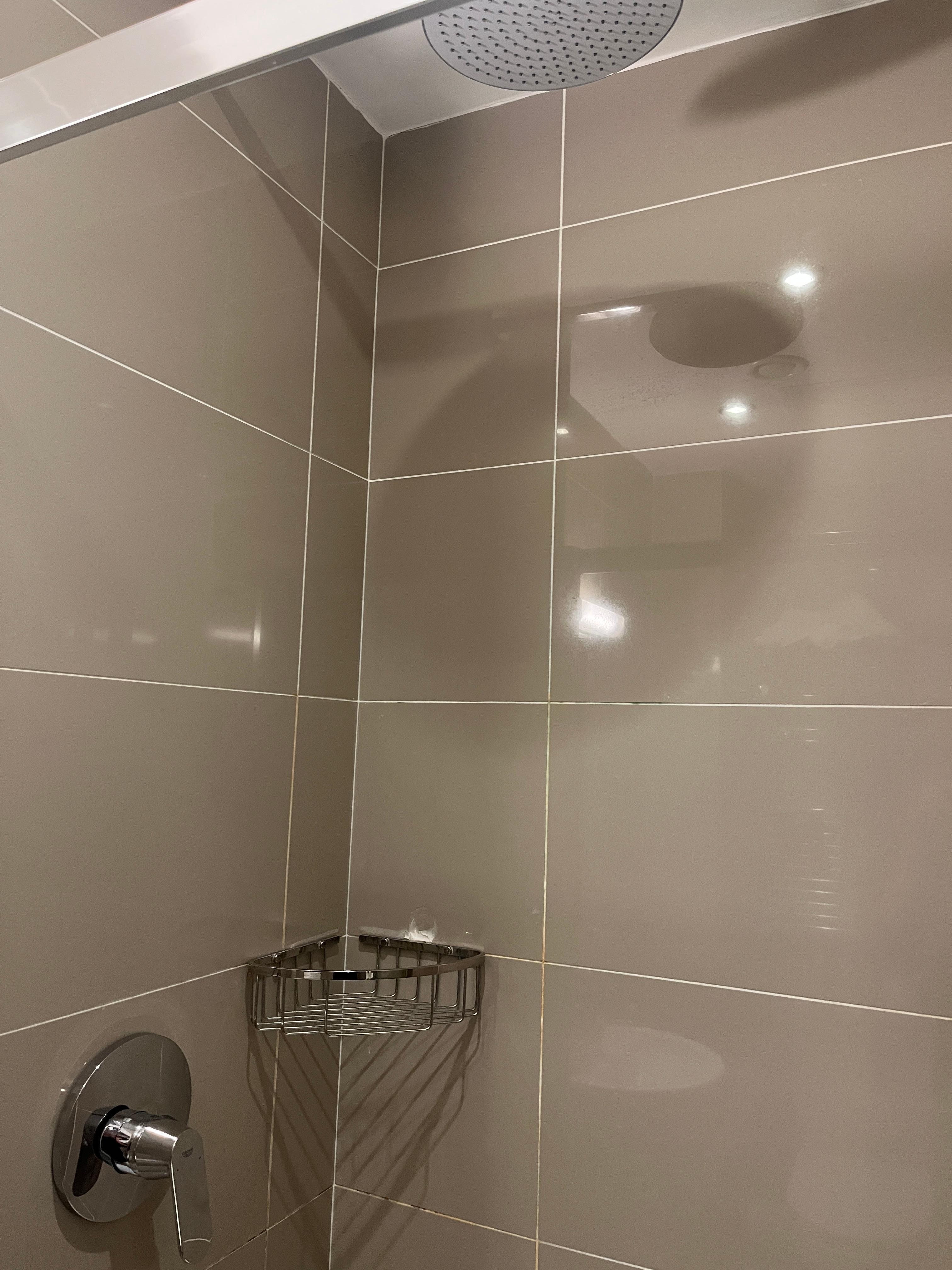 レインシャワーで、温度調節も出来て十分でし  た。