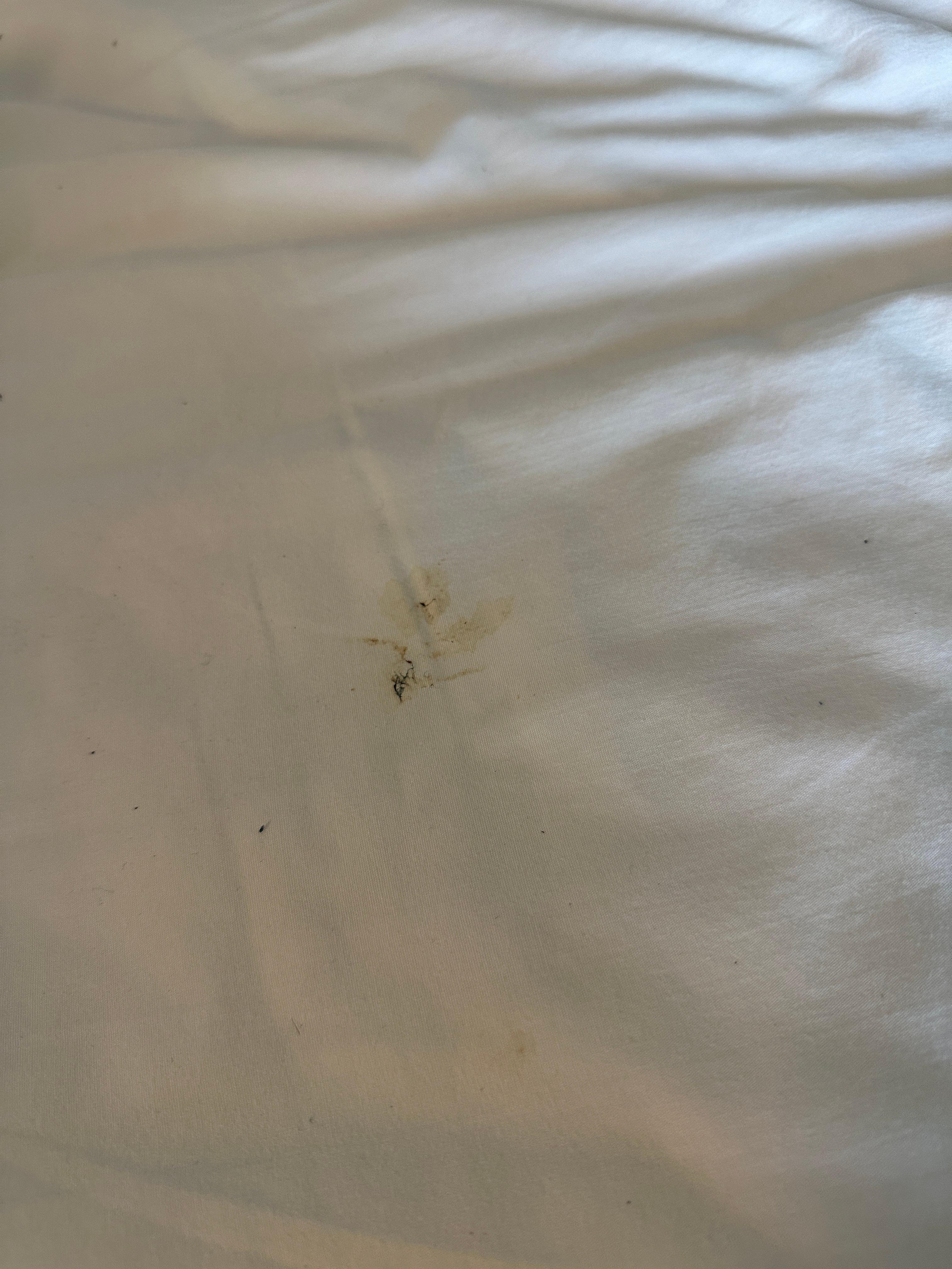 Stain on bedsheet not properly cleaned