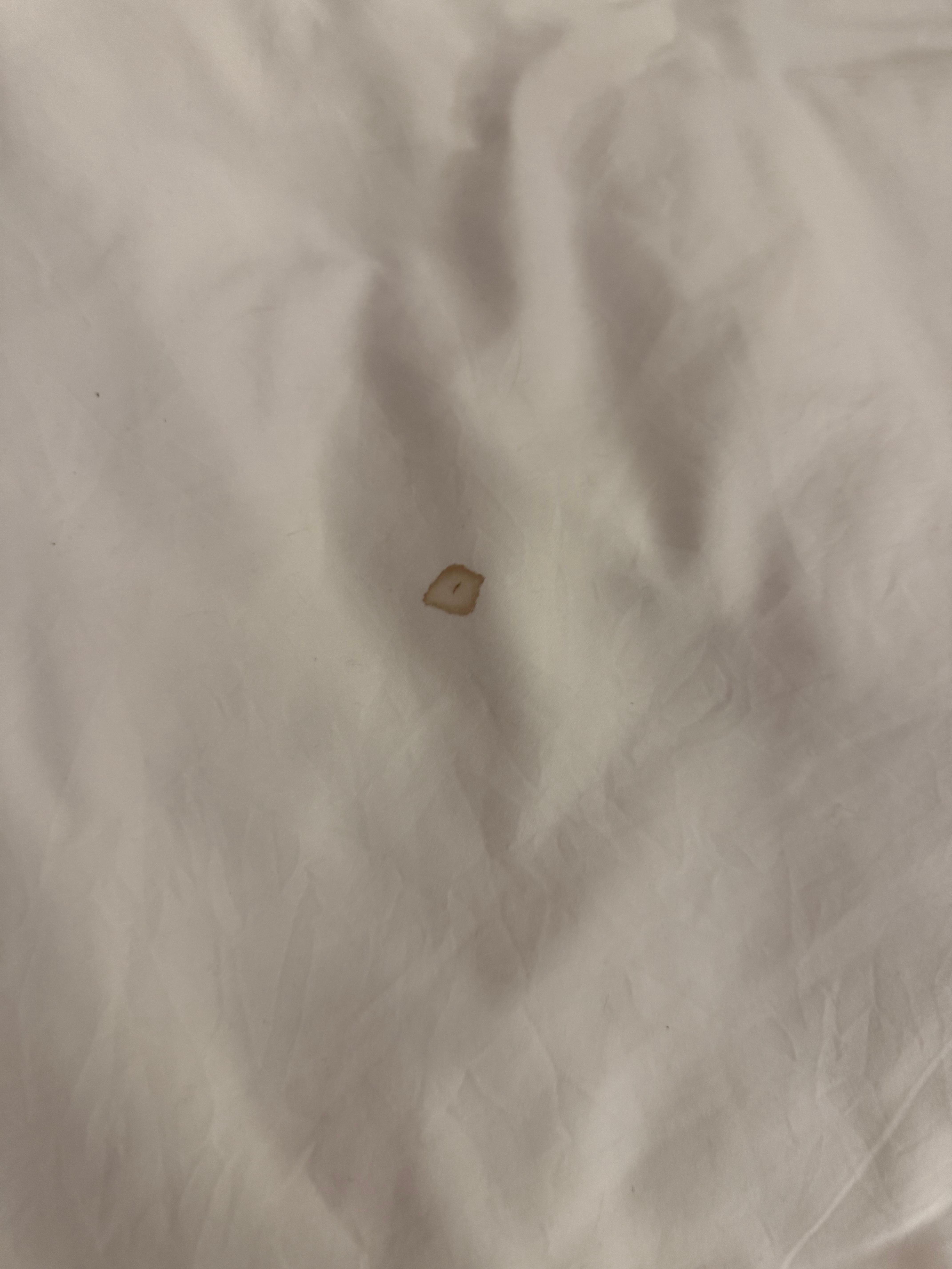 Stained bedding night one 