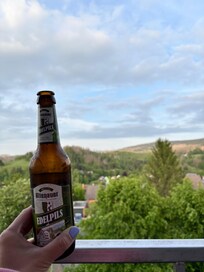 Der Ausblick vom Balkon mit Sicht auf den Brocken