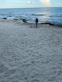 Best pic I have of the pile of brown reef by the shore