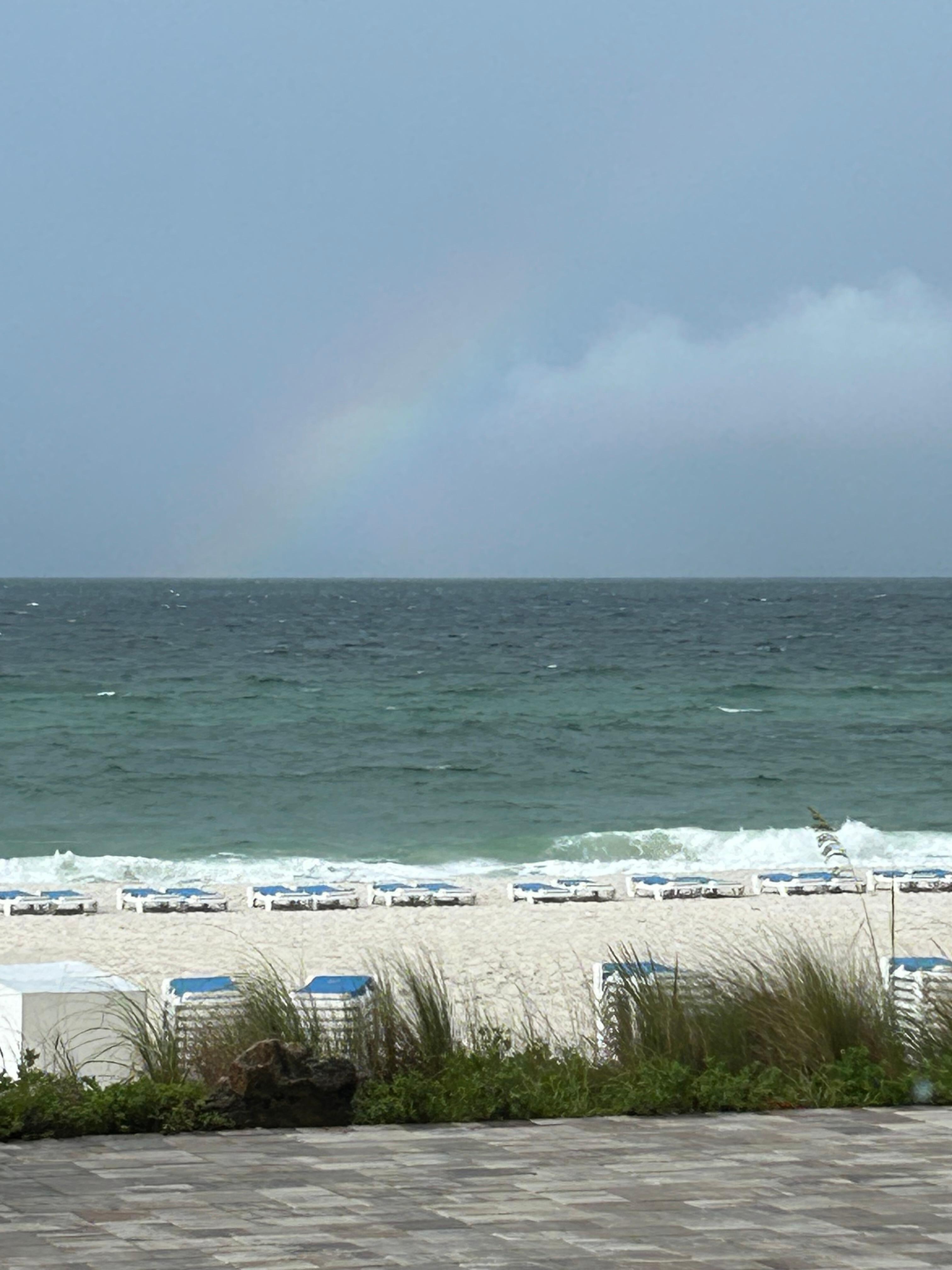 Gorgeous rainbow after a morning shower. 
