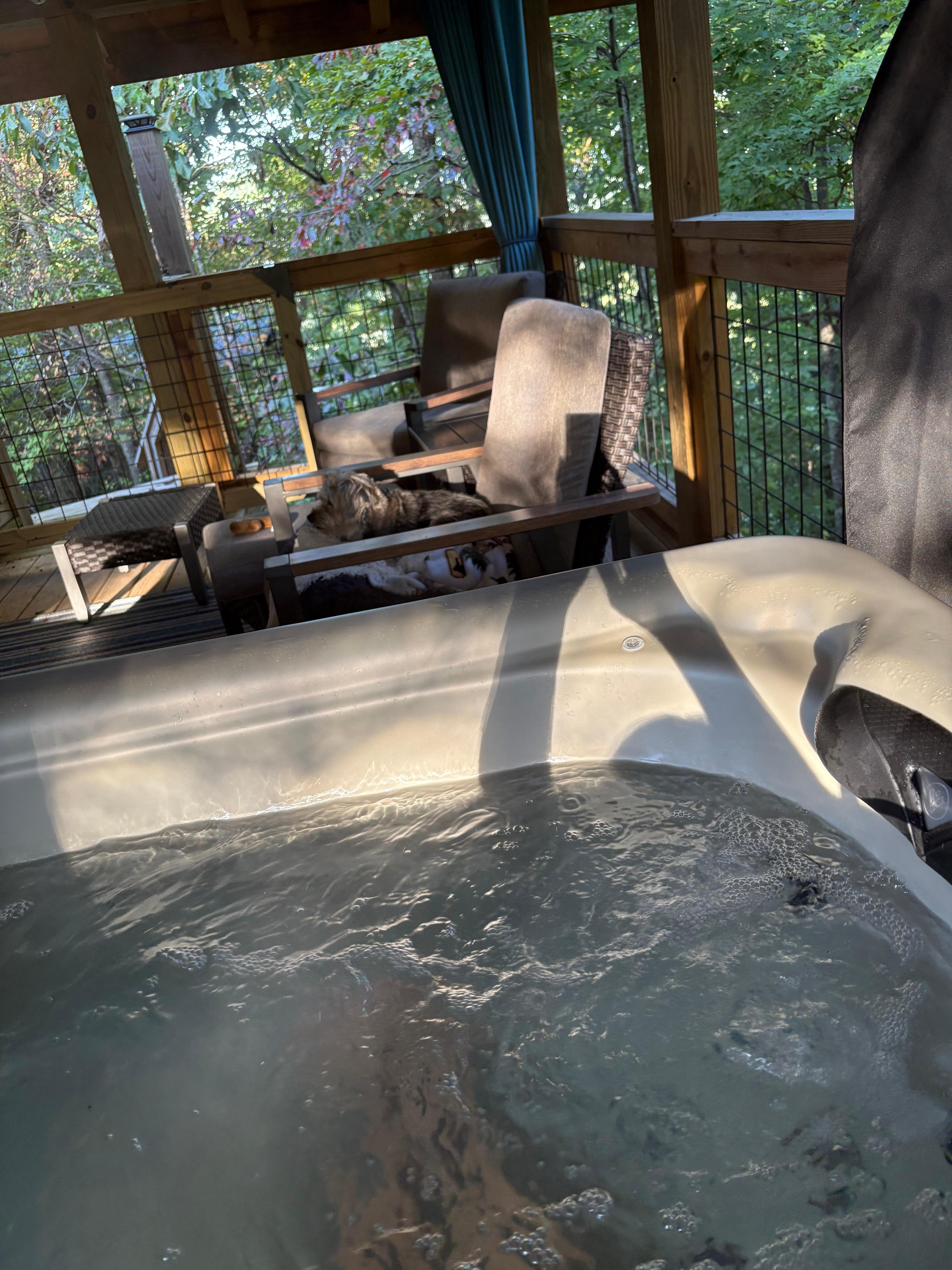 We really enjoyed the back porch, specially with our pup