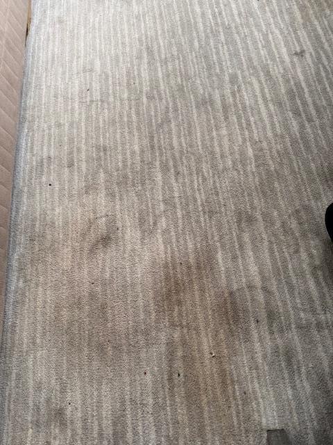 Dirty carpet