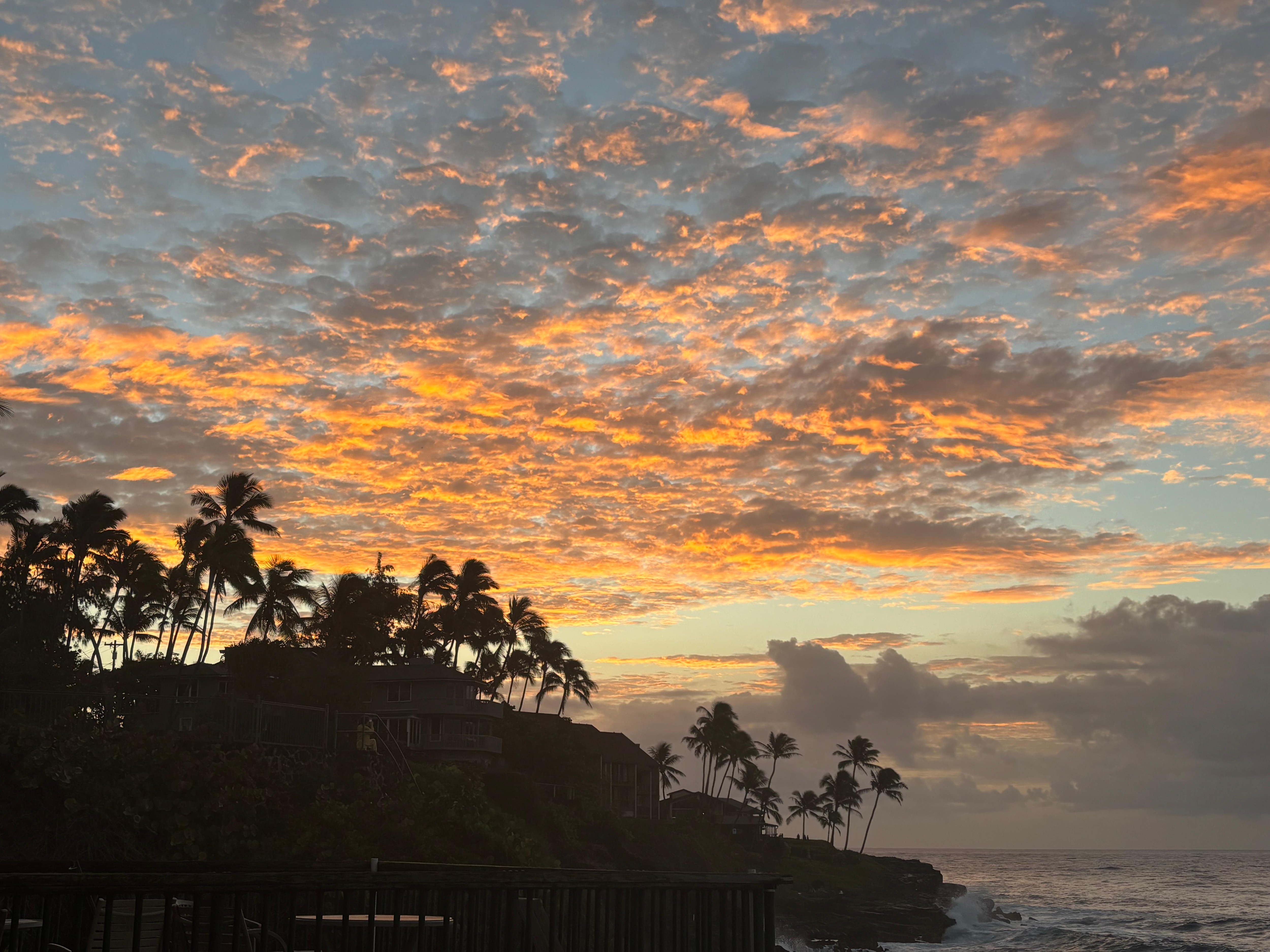 Sunrise from the property. January, 2026