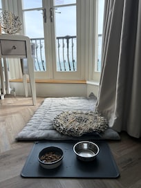 Dog bed and treats. A nice touch