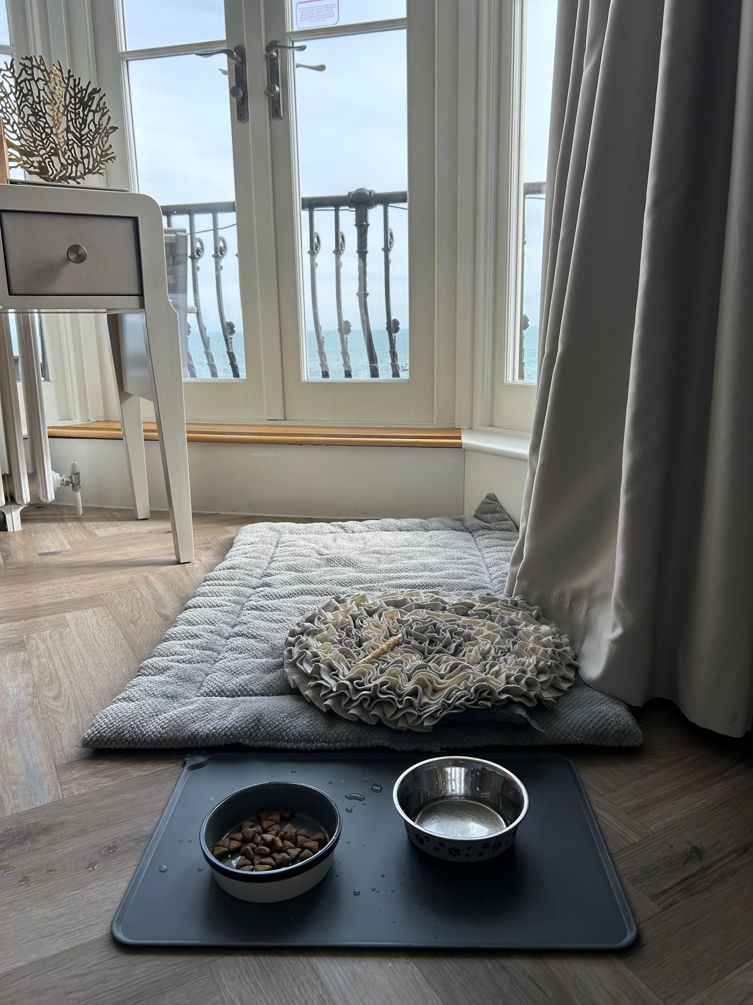 Dog bed and treats. A nice touch