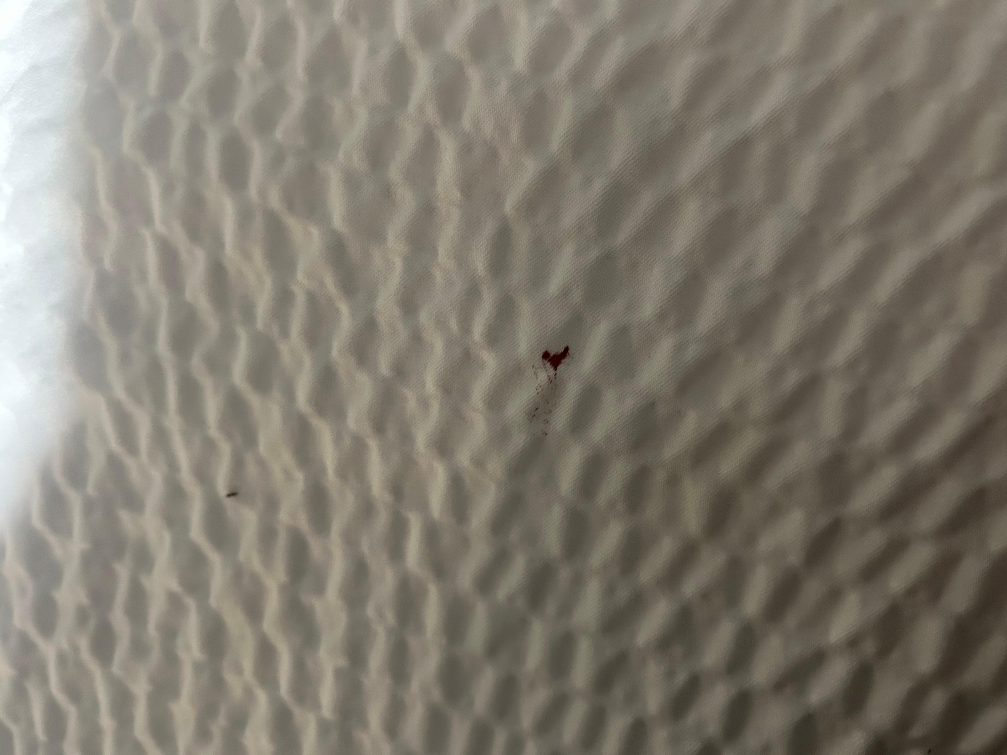 Blood on the bedding 