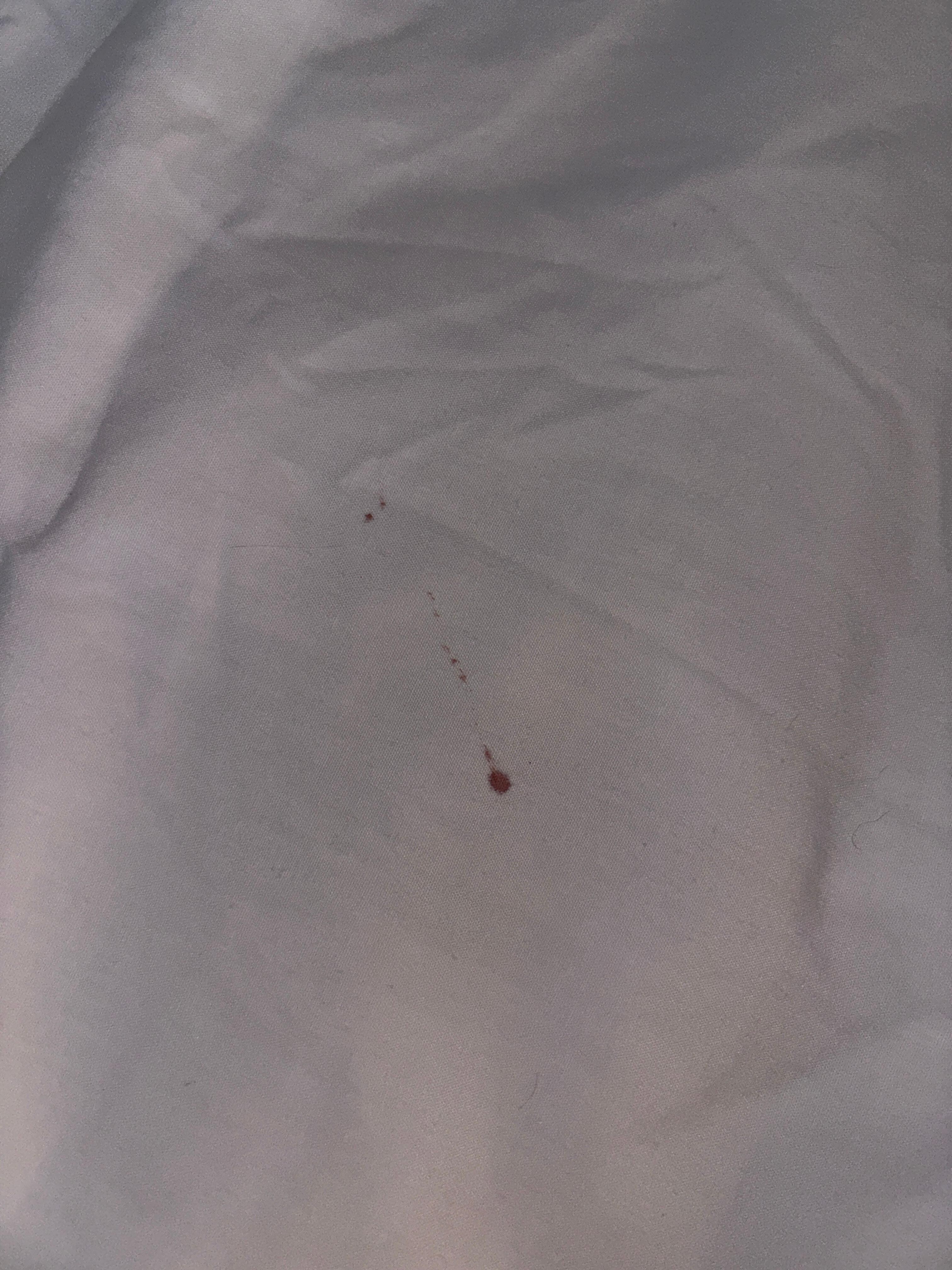 blood on sheets
