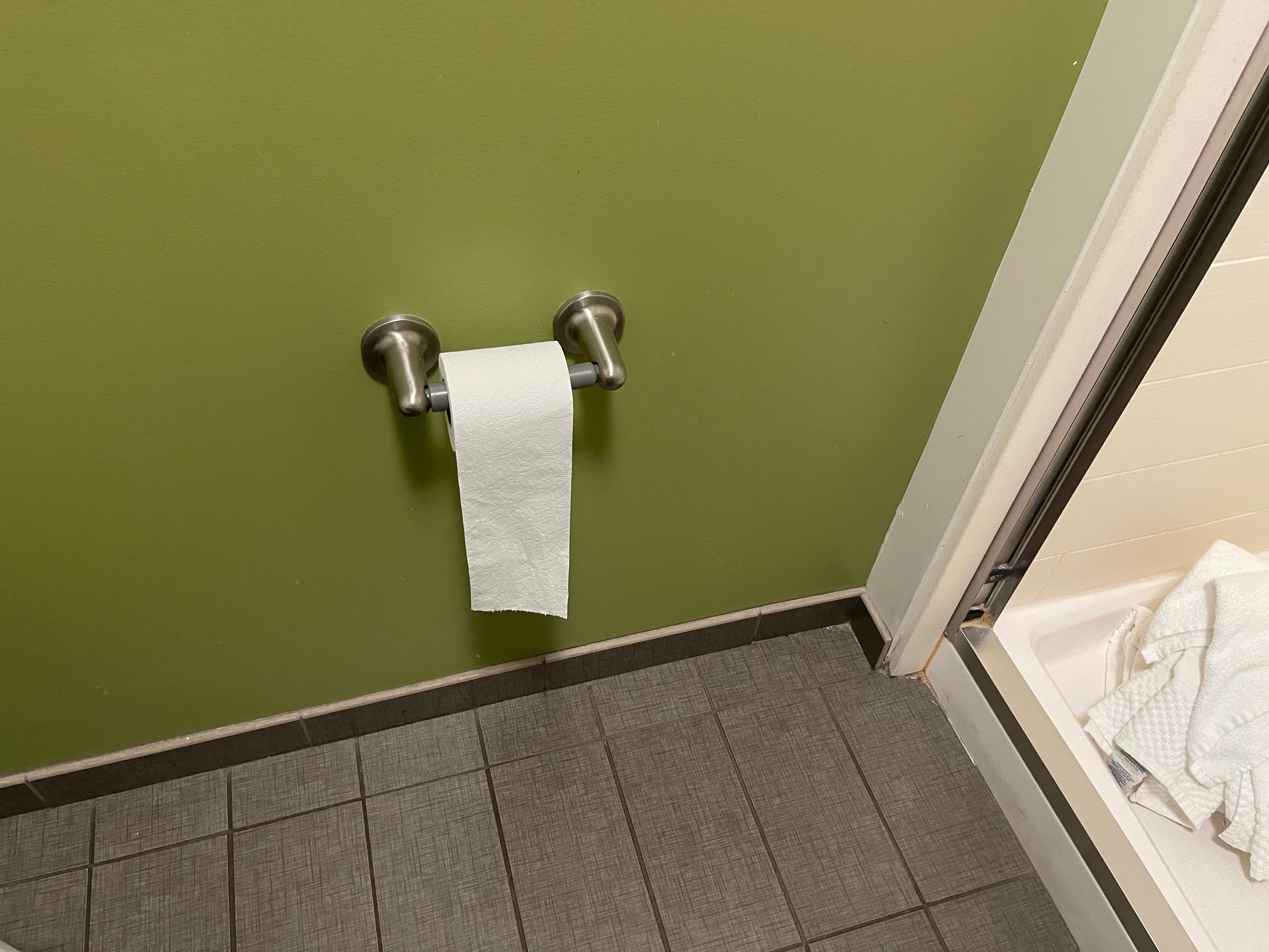 Used toilet paper roll