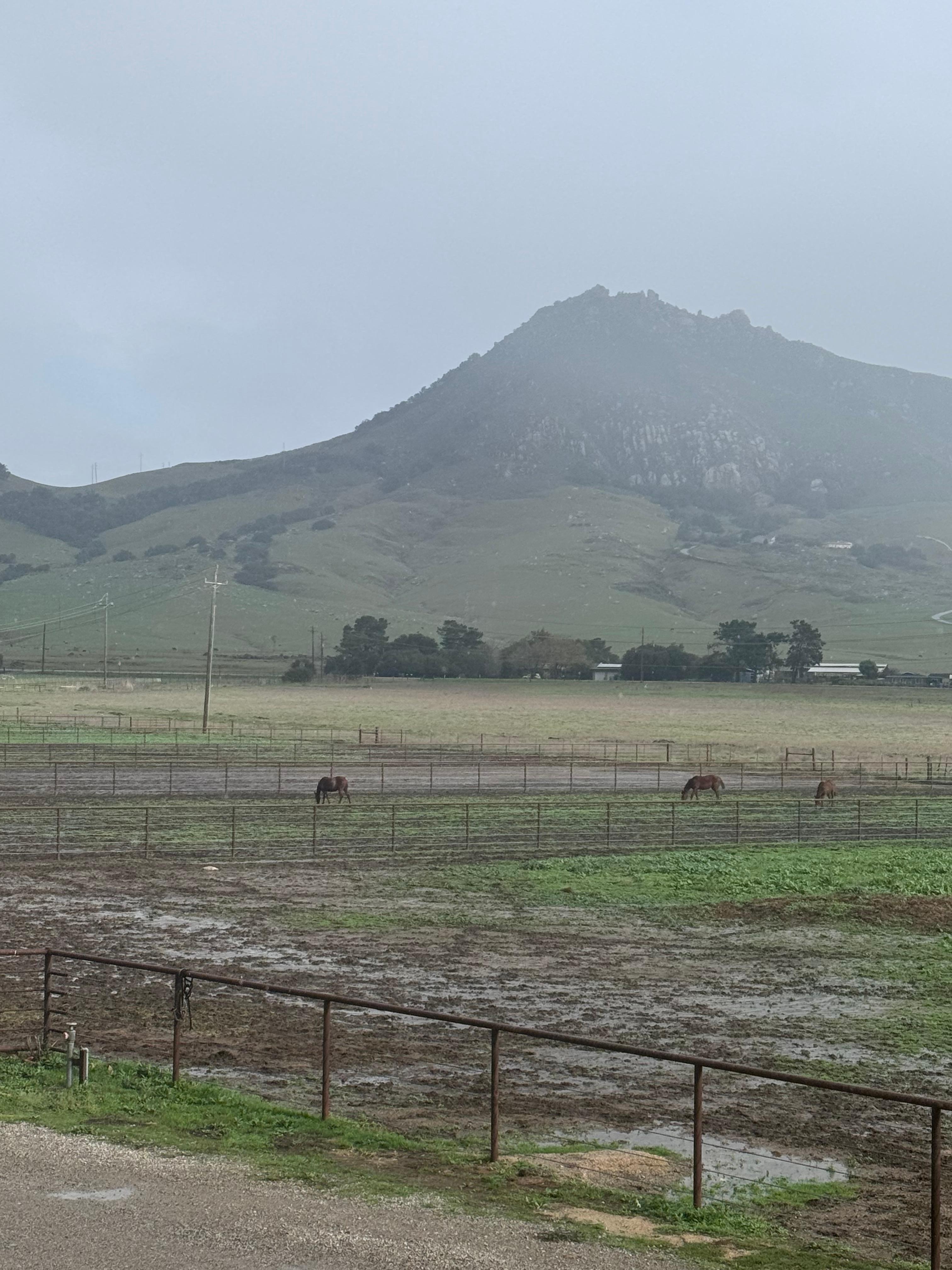 View from front of house