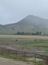 View from front of house