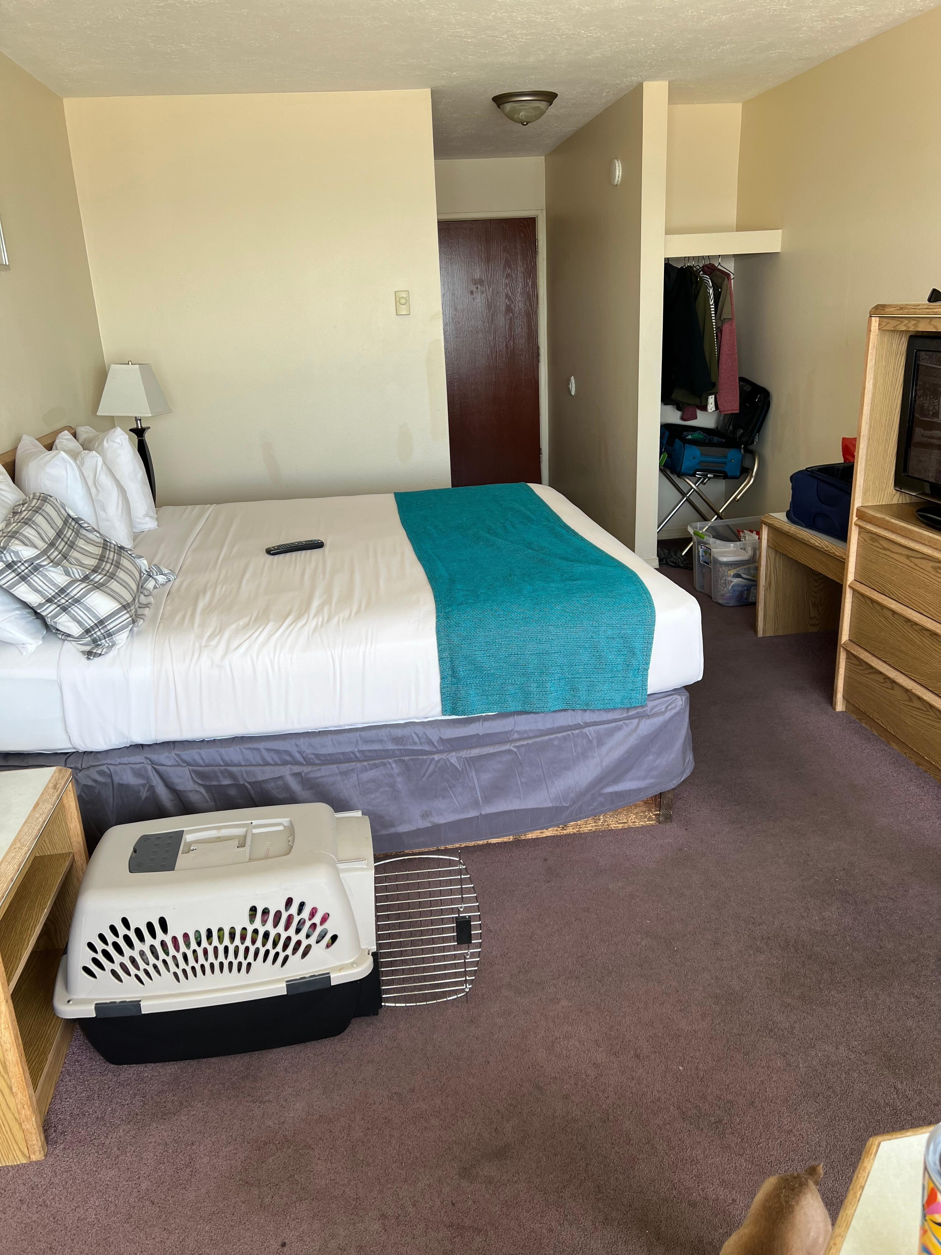 This is a look at our room for $220 a night