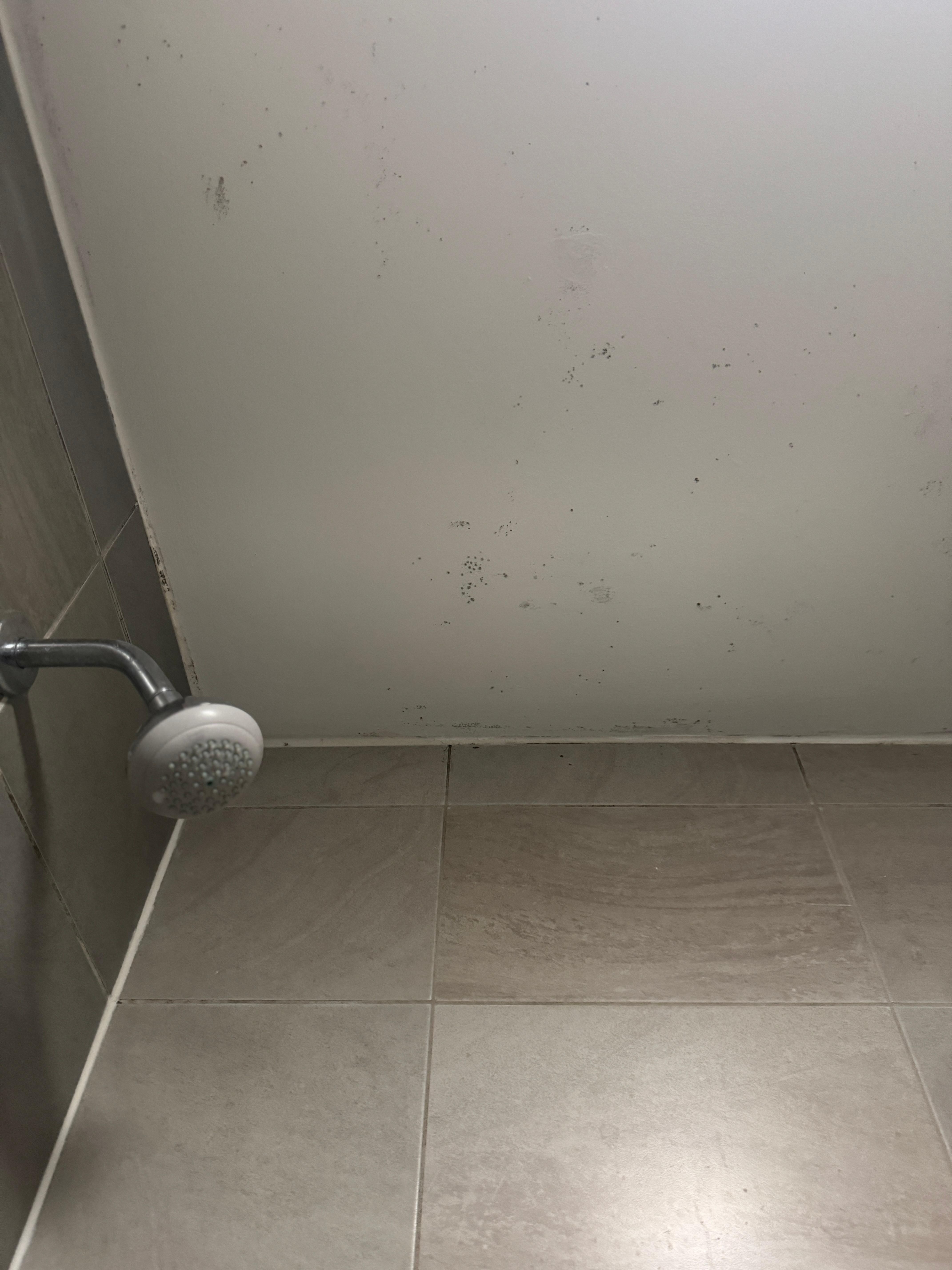 What it looked like mild in the shower.