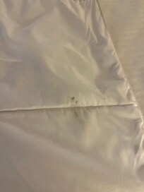 Head of comforter room 1