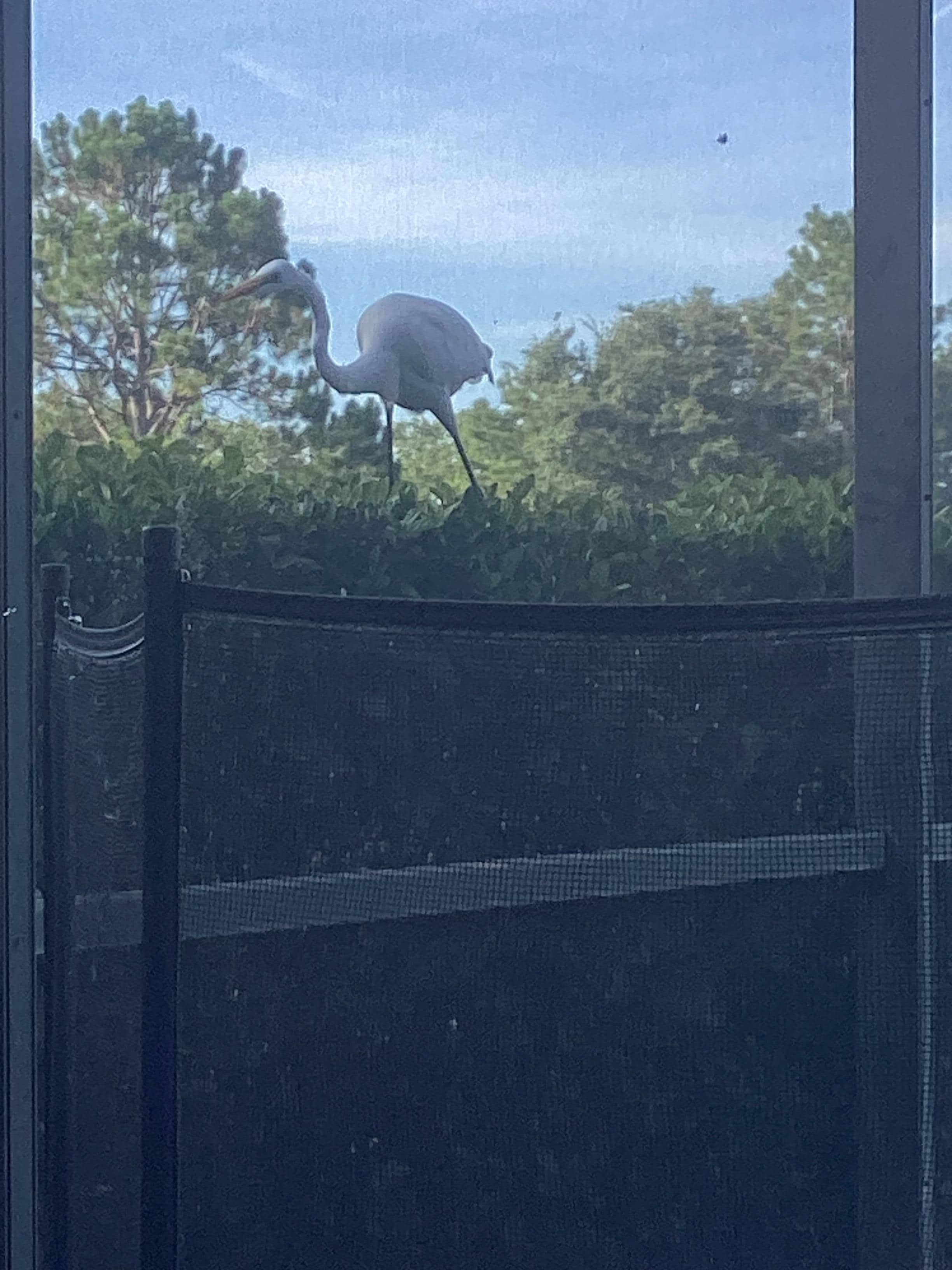 So… what are you eating?? Please share. 