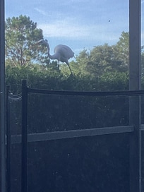 So⊠what are you eating?? Please share.