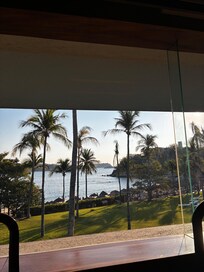 Breakfast view every morning!