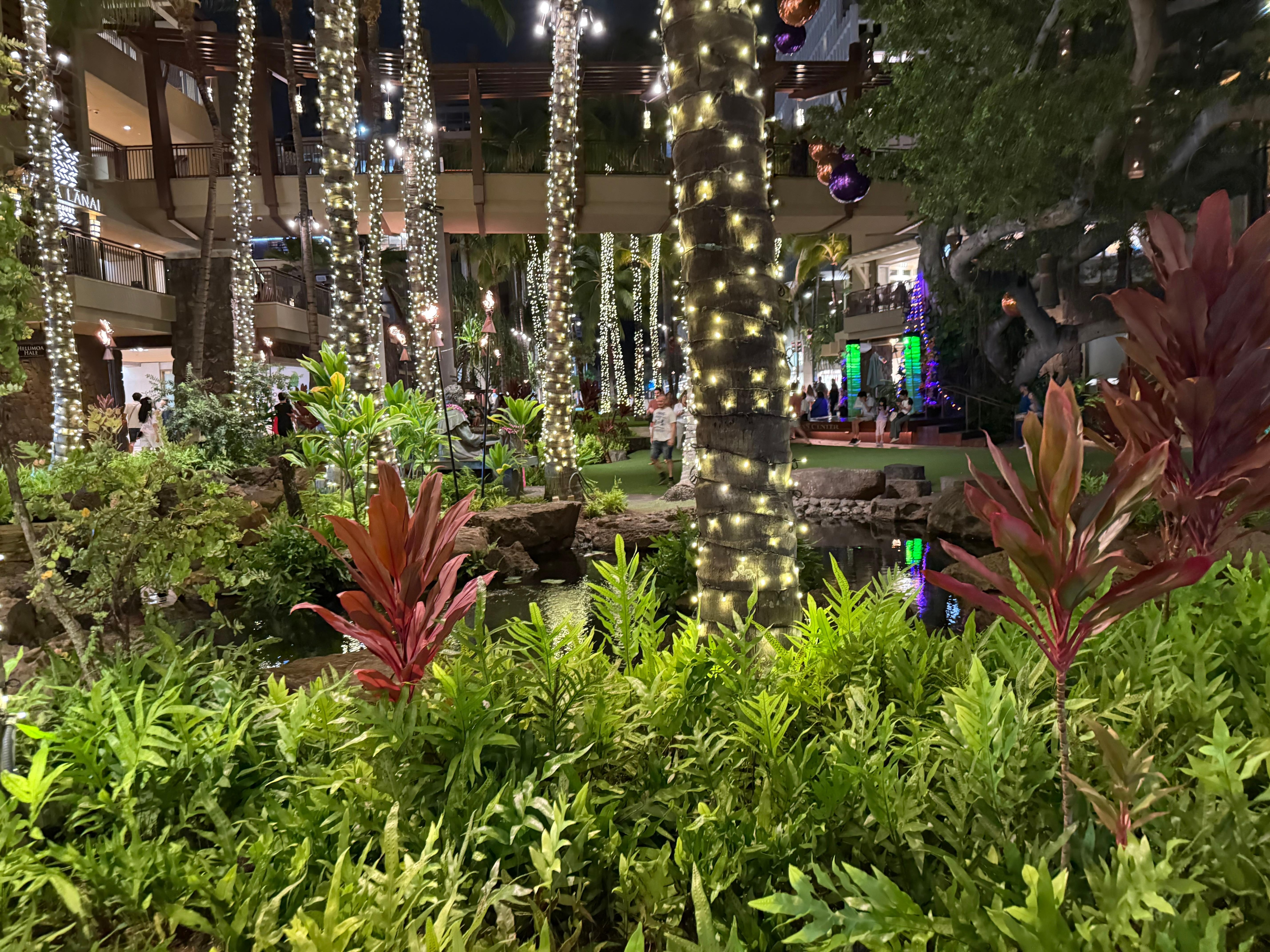 Walk to the Waikiki beach