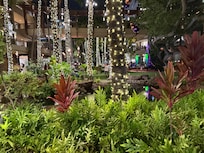 Walk to the Waikiki beach