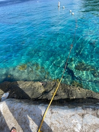 Snorkeling area