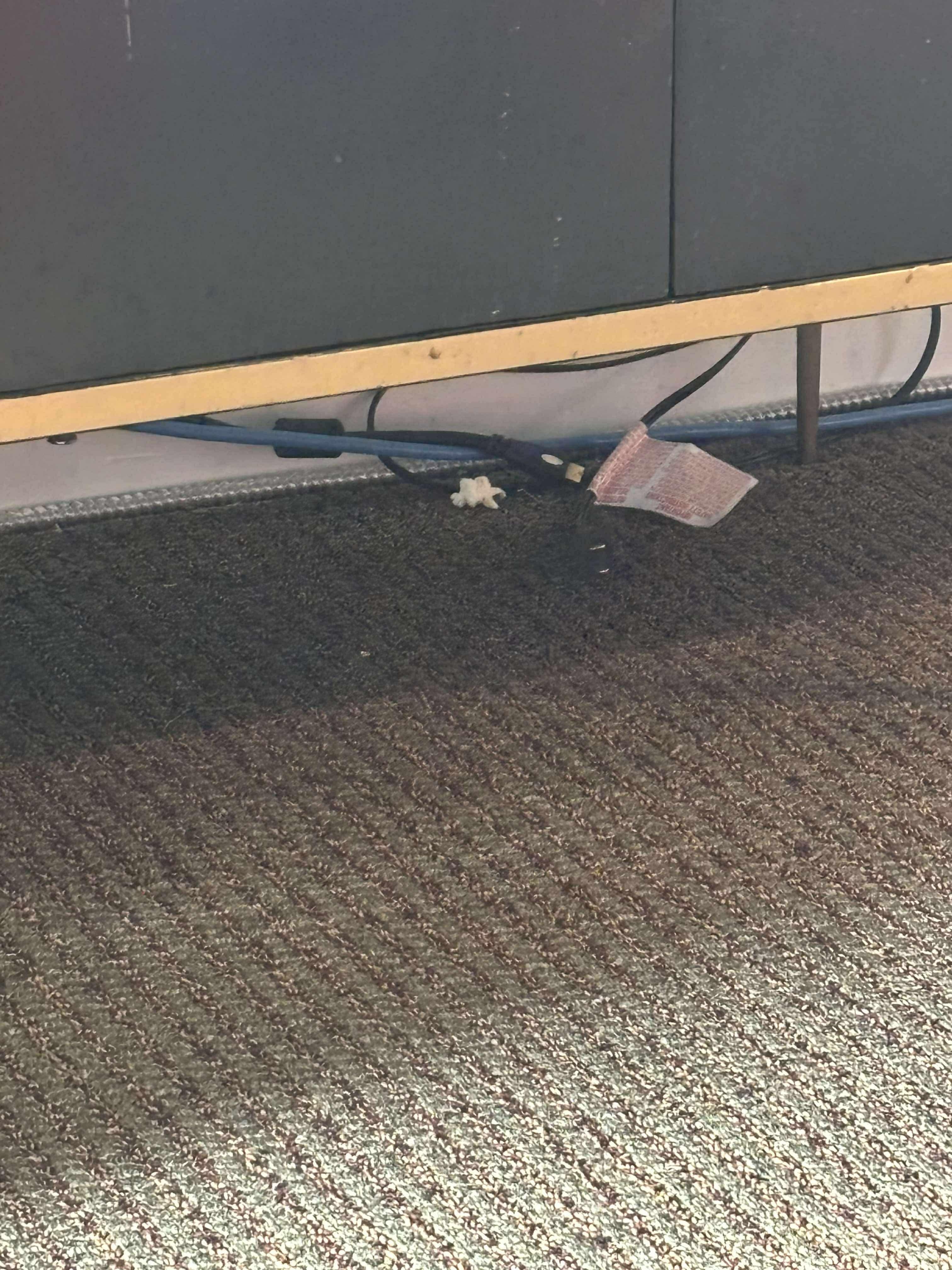 Garbage under bed