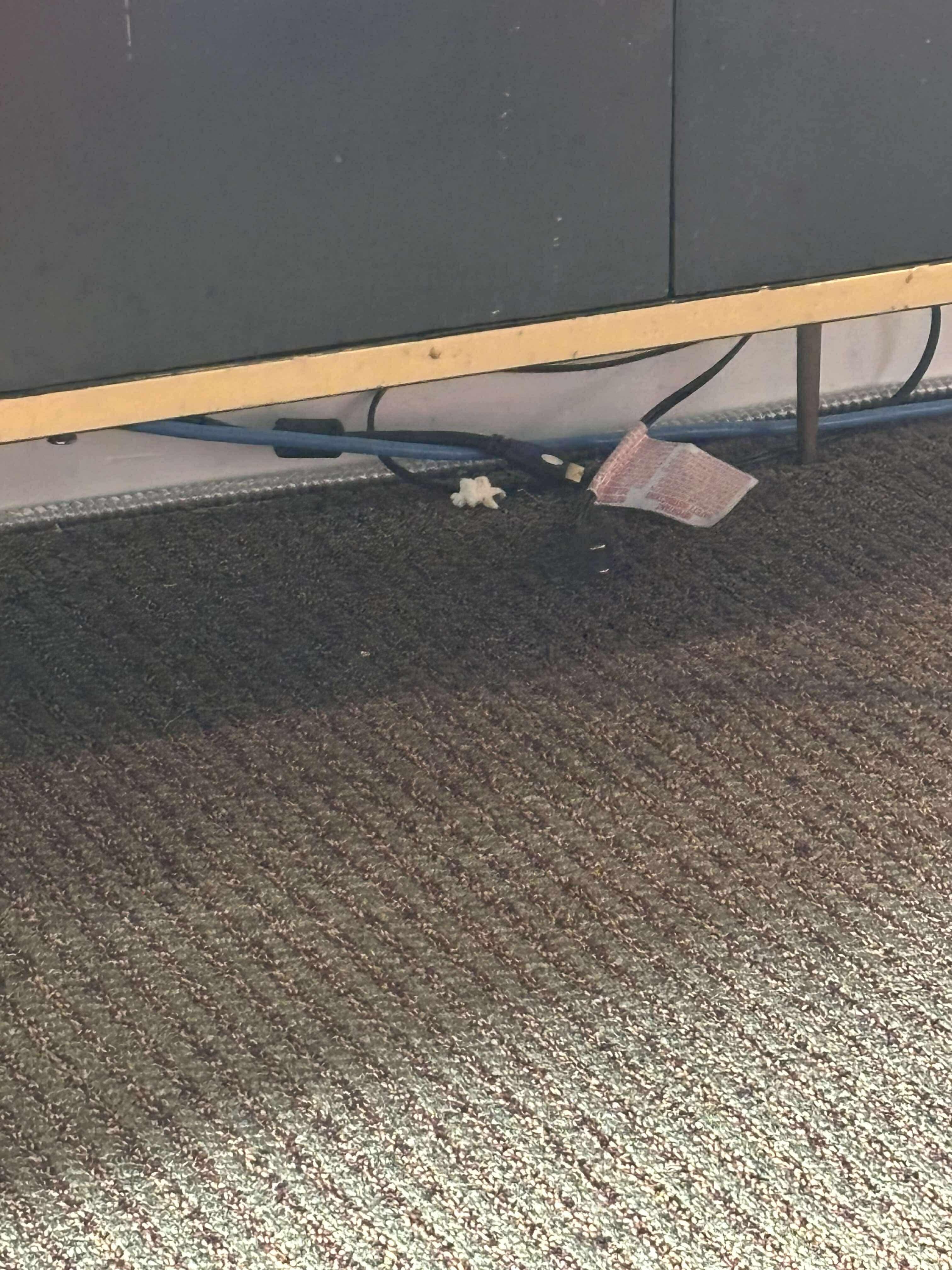 Garbage under bed 