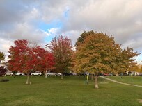 Singapore Park area by The Butler restaurant