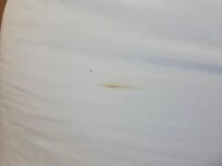 Bed sheet looked like poop stain. Very disappointed.