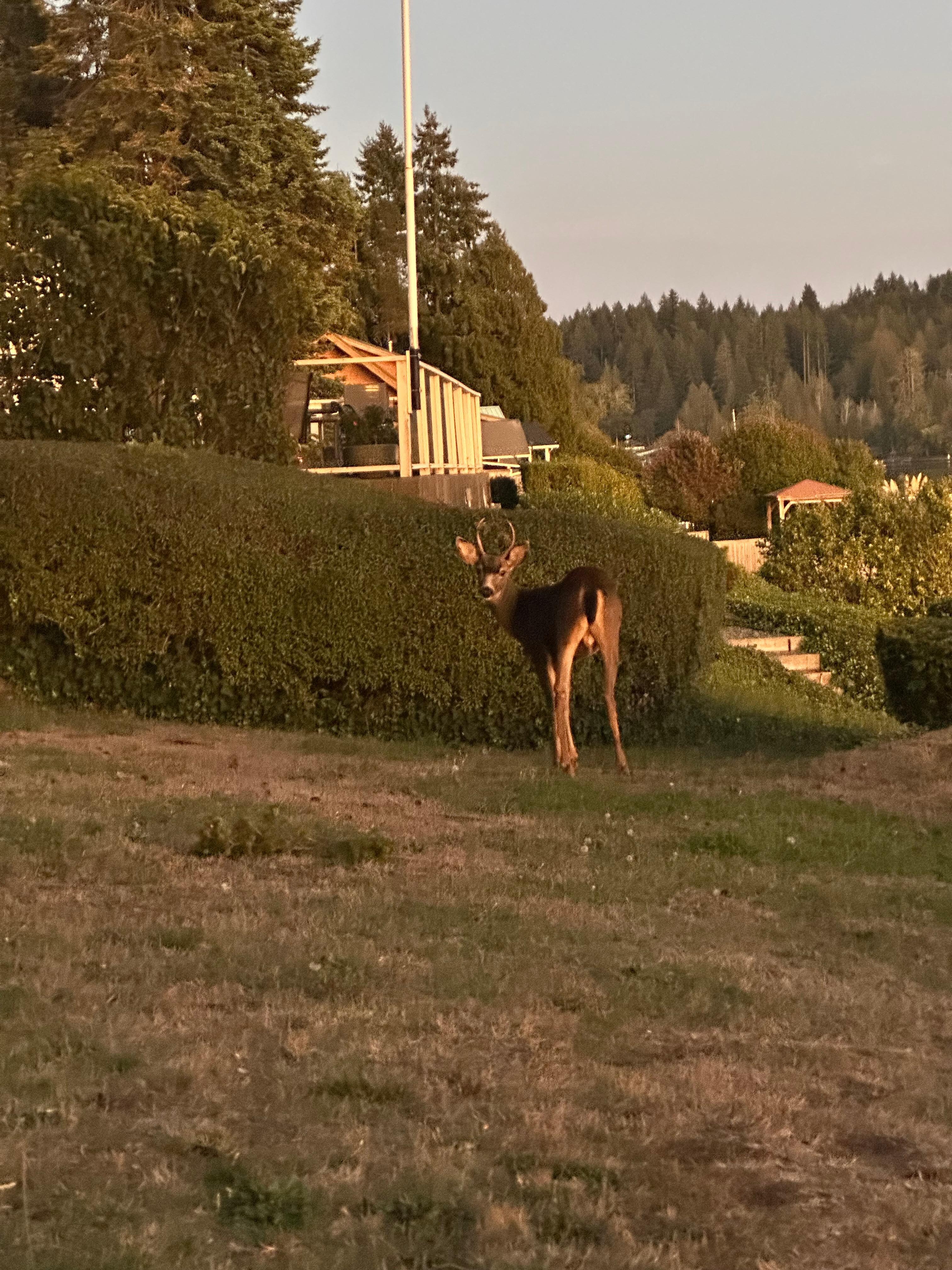 Friends eating apples off the tree in the morning